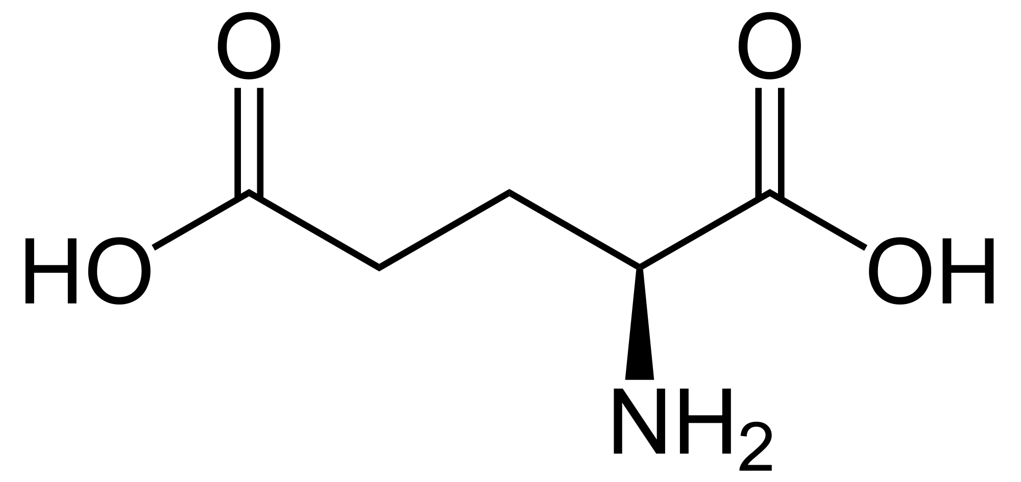 l-glyutamin